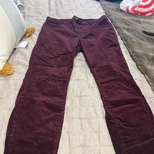 Size 12 loft velvetlike pants